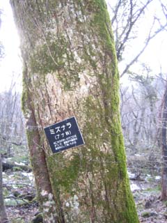 三瓶山（島根県）歩くスキー＆雪山ハイク　No.3_e0110940_715599.jpg