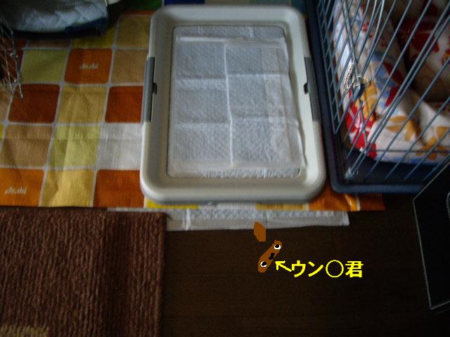 e0098547_25356.jpg