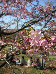 a0003150_2001132.jpg