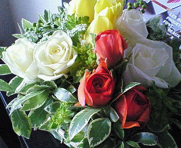c0093050_18927.jpg