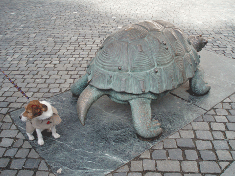 f0077150_573450.gif