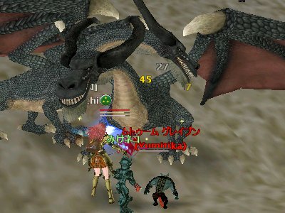 ドラゴンステーキを作ろう!_d0023063_1305218.jpg