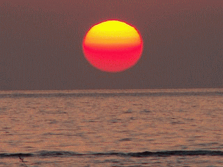 f0104569_23325162.gif