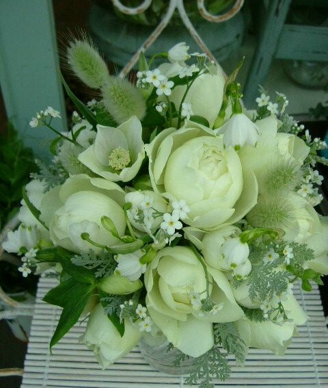 オークリーフ(植木屋小野さん、おめでとう)_f0049672_12524270.jpg
