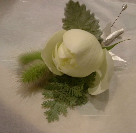 オークリーフ(植木屋小野さん、おめでとう)_f0049672_12525168.jpg