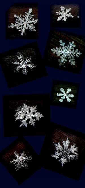 f0083977_22522138.jpg