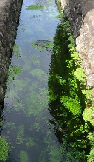 福島市泉地区に、湧水の池を訪ねて_a0087378_5131113.jpg