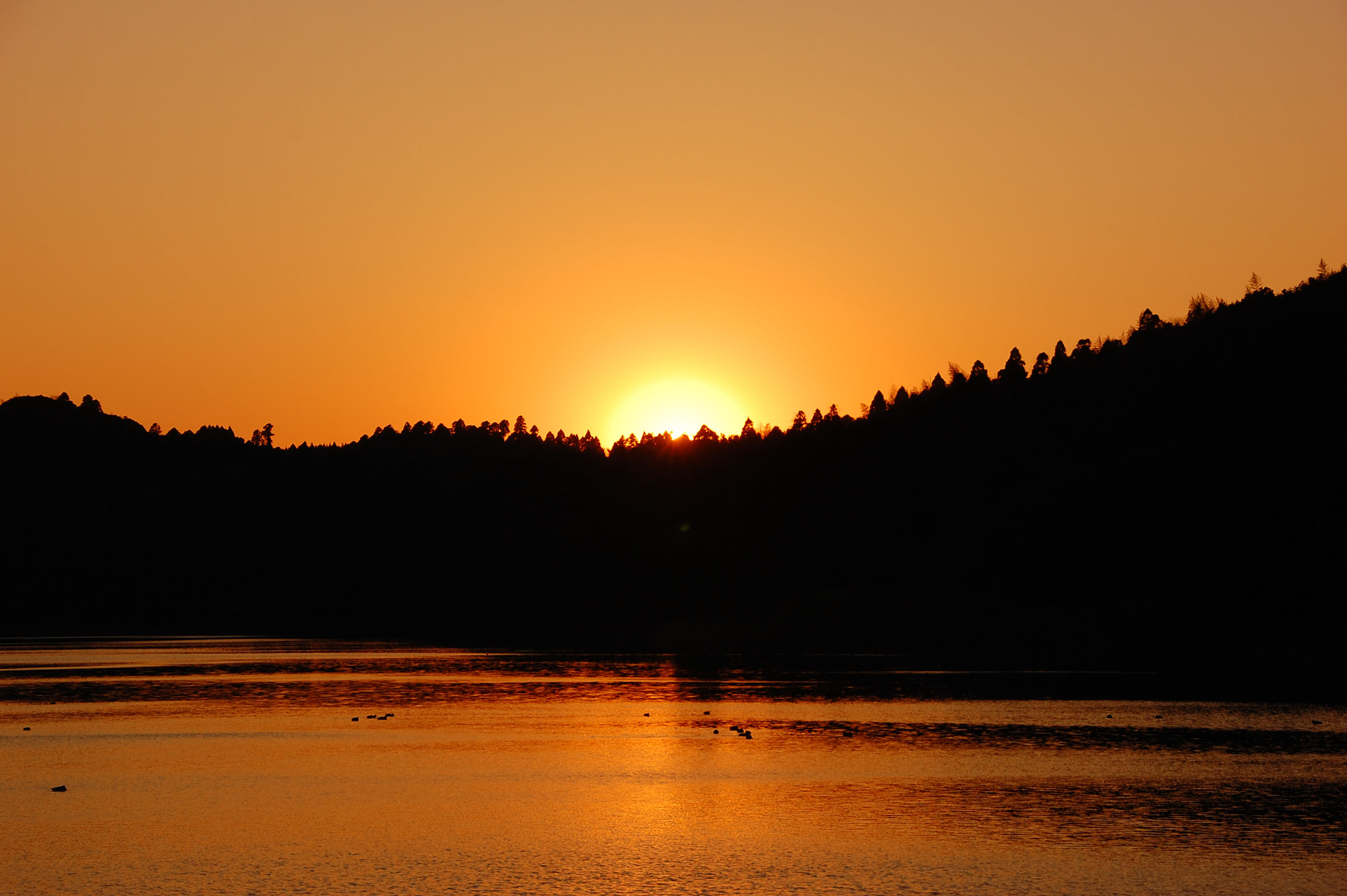 e0071178_20474479.jpg