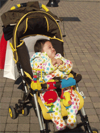 b0076085_0322544.gif