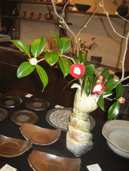a0088892_19531727.gif
