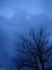 c0103793_0212385.jpg