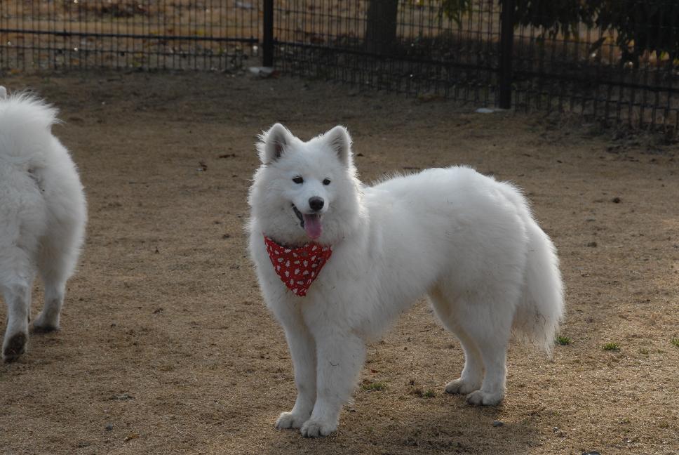 牡蠣オフ 三木編_a0049296_2111161.jpg