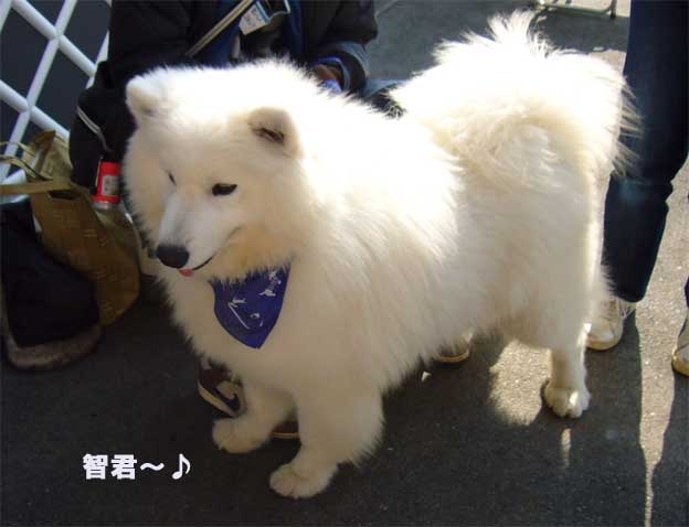 行って来ました牡蠣オフ会 NOⅢ 2月12日 日_e0018604_1641289.jpg