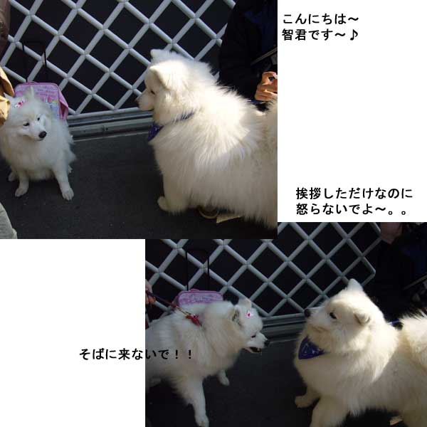 行って来ました牡蠣オフ会 NOⅢ 2月12日 日_e0018604_16422796.jpg