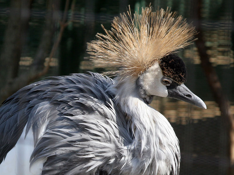 動物園にて　その２_c0058205_229833.jpg