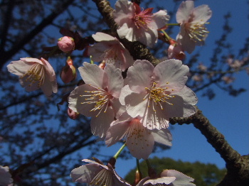 小旅行(その２～熱海)　　　　　　　　　　　　2007・2・14(水)_f0041606_2031881.jpg