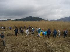 e0093407_18483.jpg
