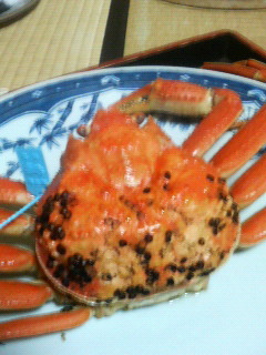 d0101515_16415399.jpg