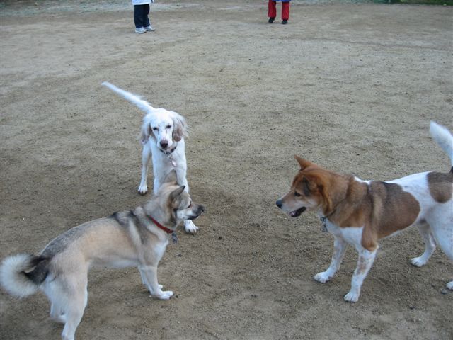 f0002532_29336.jpg