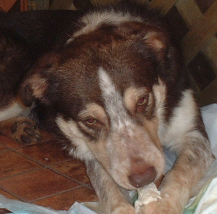 d0077740_20998.jpg
