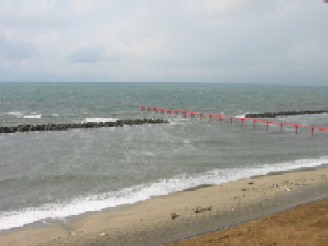 f0057453_207718.jpg