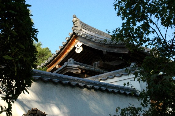 　　根 来 寺　　_b0093754_0104598.jpg