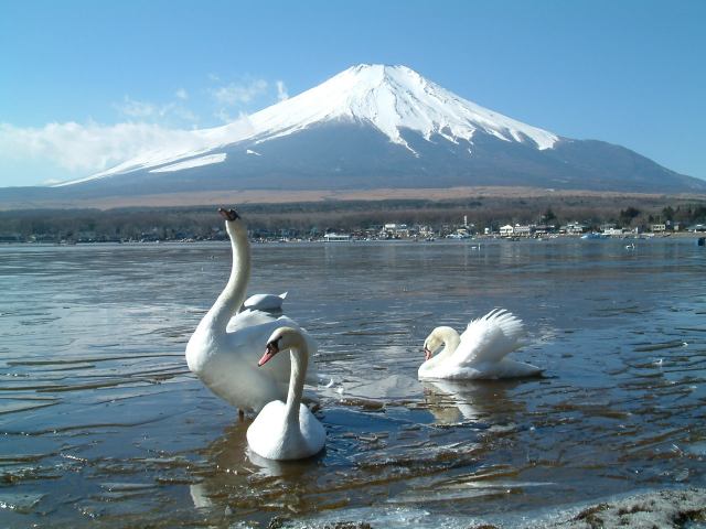 b0070657_15315562.jpg