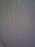 d0007957_23543763.jpg