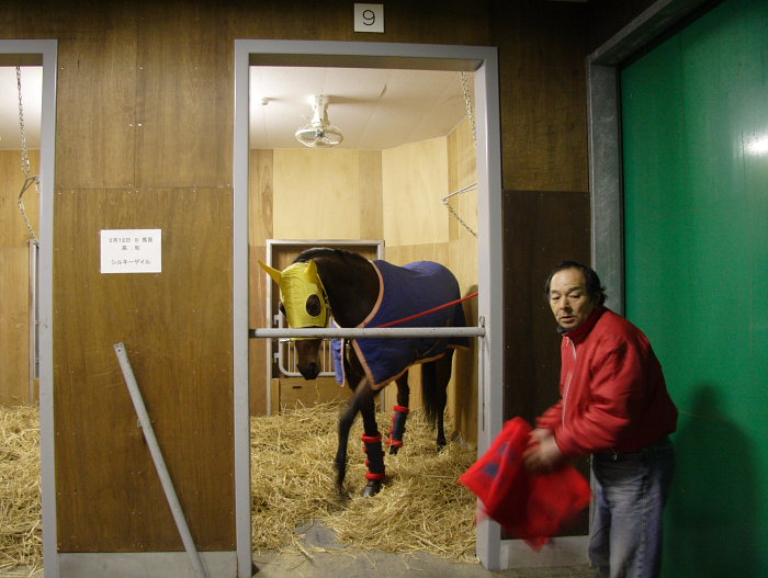 シルキーゲイル、佐賀競馬場へ 到着_a0077663_14244493.jpg