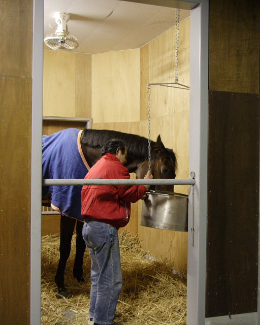 シルキーゲイル、佐賀競馬場へ 到着_a0077663_14245689.jpg