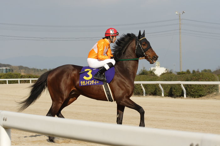 2007年2月12日(月) 佐賀競馬 第34回 佐賀記念(K)GIII レース前_a0077663_17431552.jpg