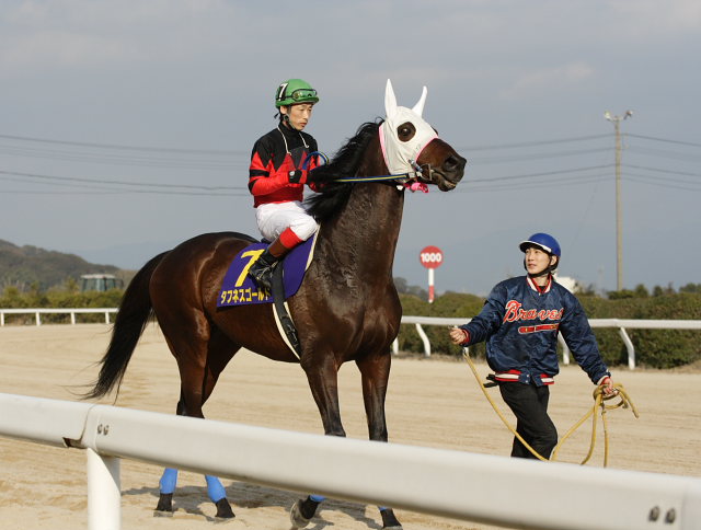2007年2月12日(月) 佐賀競馬 第34回 佐賀記念(K)GIII レース前_a0077663_17433518.jpg
