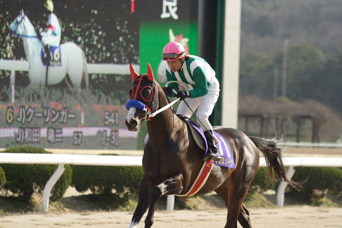 2007年2月12日(月) 佐賀競馬 第34回 佐賀記念(K)GIII レース前_a0077663_1743571.jpg