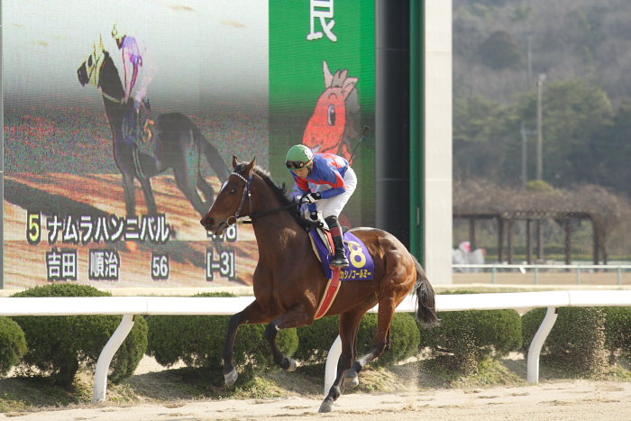 2007年2月12日(月) 佐賀競馬 第34回 佐賀記念(K)GIII レース前_a0077663_17441679.jpg