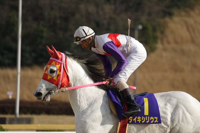 2007年2月12日(月) 佐賀競馬 第34回 佐賀記念(K)GIII レース前_a0077663_17442698.jpg