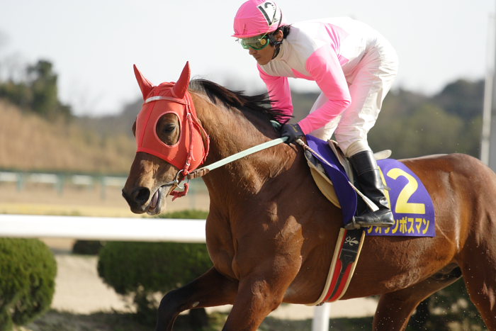 2007年2月12日(月) 佐賀競馬 第34回 佐賀記念(K)GIII レース前_a0077663_17443893.jpg