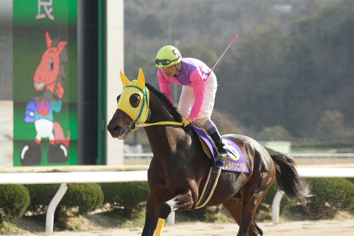2007年2月12日(月) 佐賀競馬 第34回 佐賀記念(K)GIII レース前_a0077663_1744642.jpg