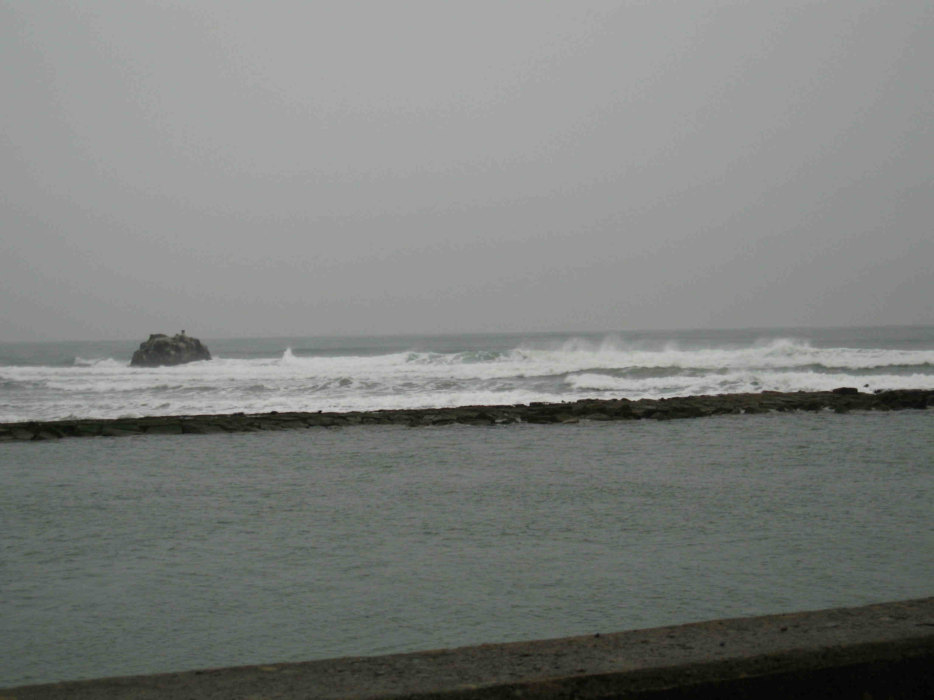 d0085470_19542957.jpg
