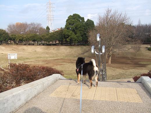 岸根公園　その①_b0090478_15263373.jpg