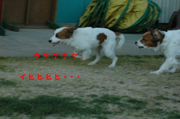 c0075585_20331149.jpg