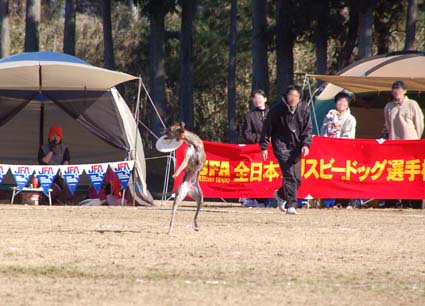f0094391_0371793.jpg