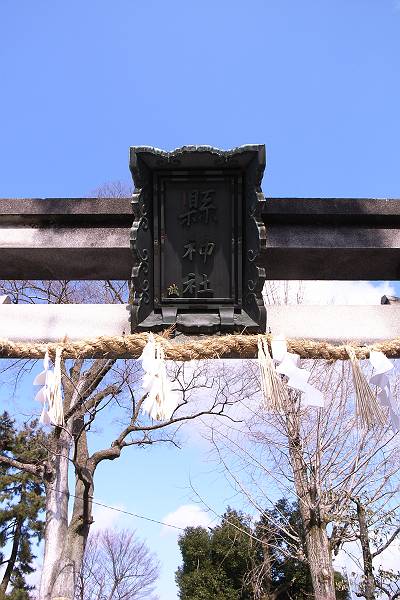 縣神社_a0092804_23424749.jpg