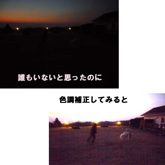 e0018604_1031237.jpg
