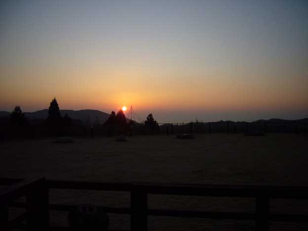 e0018604_1034551.jpg