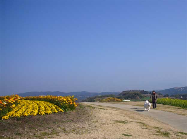 行って来ました牡蠣オフ会　NOⅤ　　淡路島編_e0018604_12315114.jpg