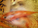 e0028505_19465576.jpg