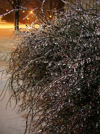 e0015618_2583725.jpg
