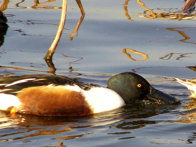 e0064158_224563.jpg