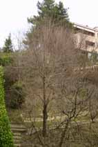 a0052863_1163193.jpg