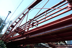 b0006870_015936.jpg